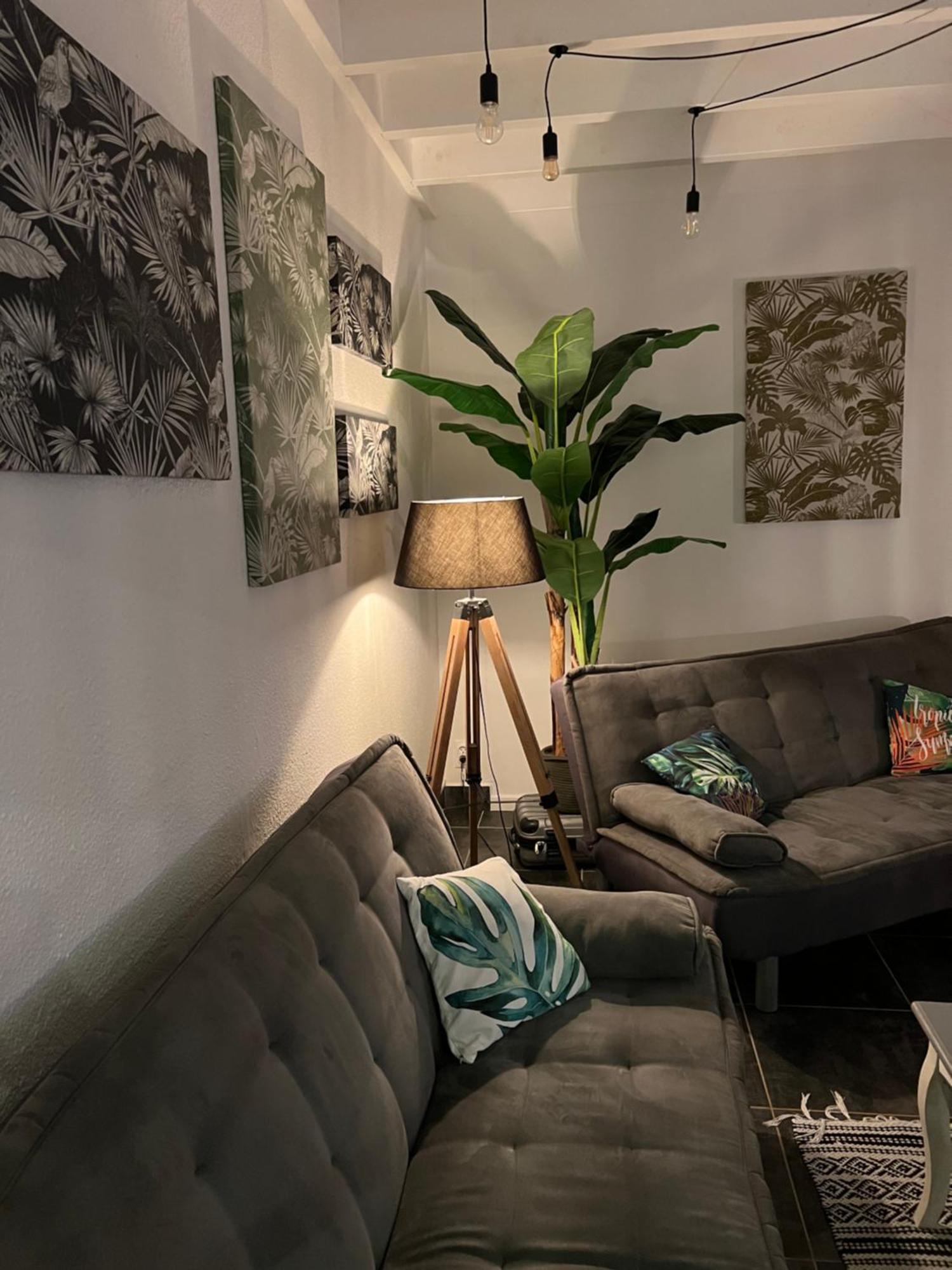 Appartement Spacieux Au Village Du Flamboyant Baie Nettle Exteriör bild